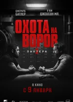 Охота на воров 2: Пантера